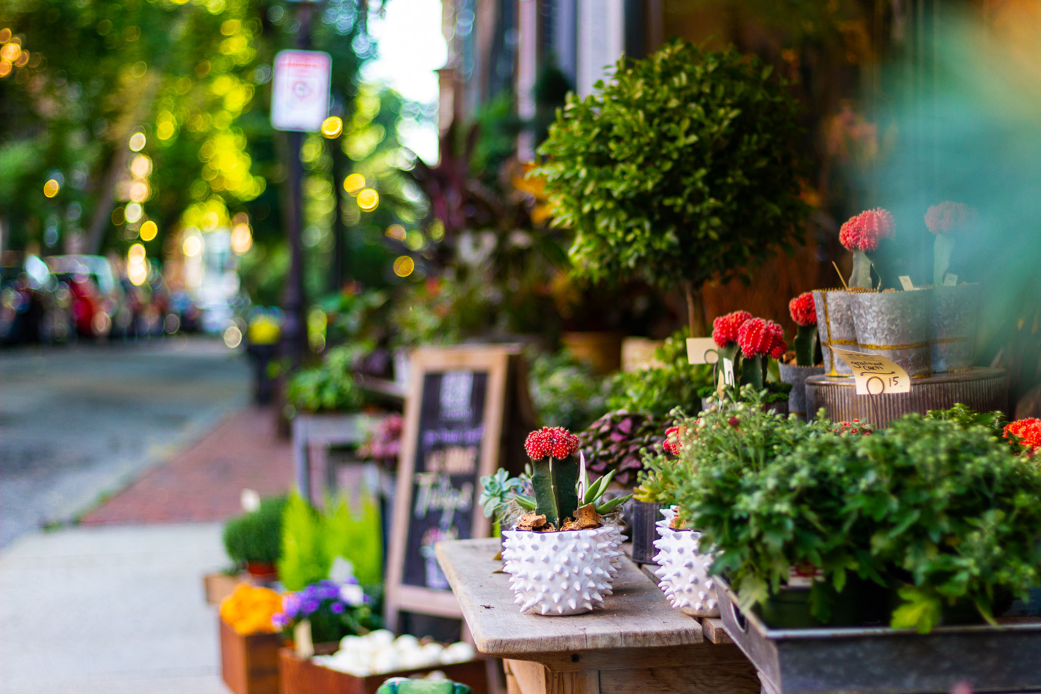 Florist in Boston, MA.