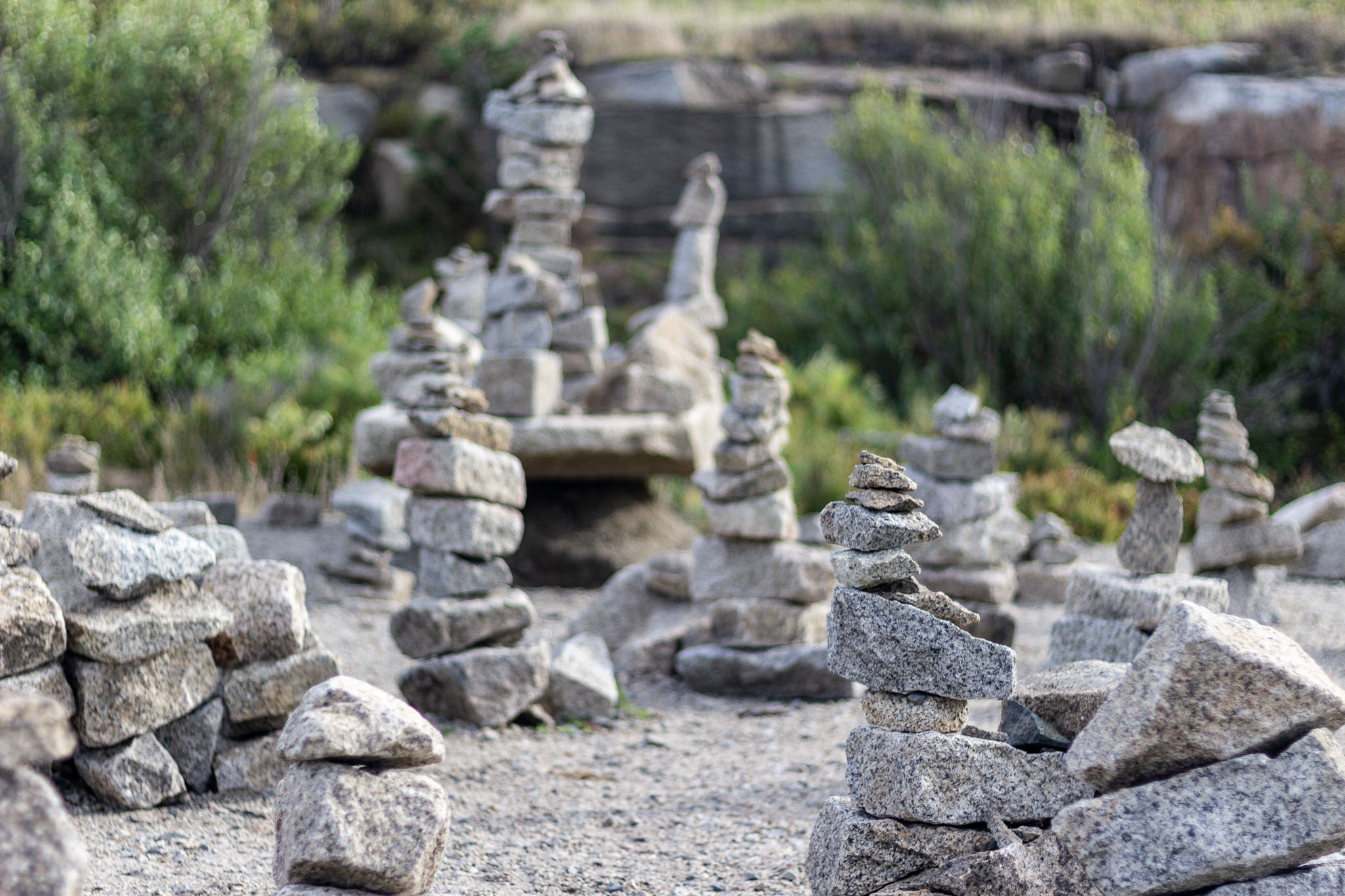 Taken somewhere in Halibut Point State Park, Massachusetts.